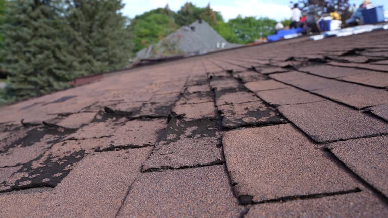 4 Ply Roofing in The Hills, TX