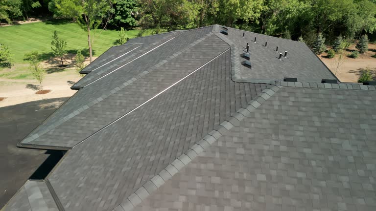 Best Sheet Metal Roofing  in The Hills, TX