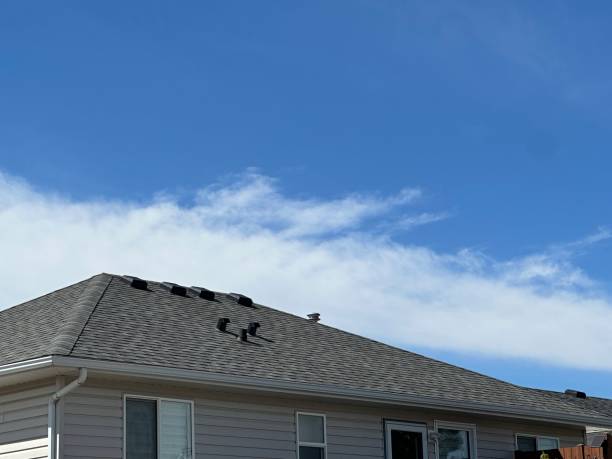 Roof Moss and Algae Removal in The Hills, TX